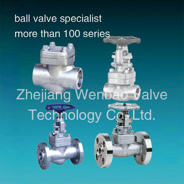 Stainless Steel F304 F316 Forged Steel Gate Globe Check Valves