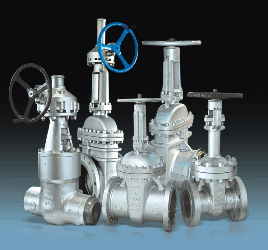 Cast Steel Gate Valve