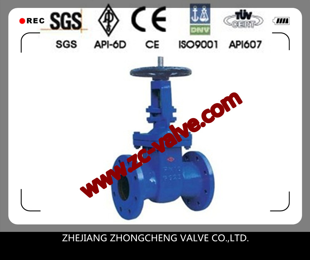 DIN 3352-F5 Rising Stem Solid Wedge Gate Valve