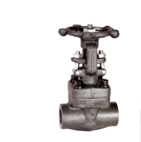 Female Thread and Socket Welded Gate Valve