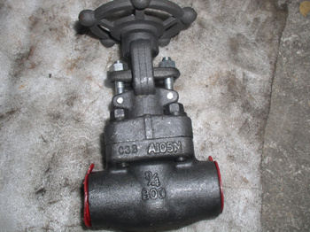 Forged Globe Valve  (800LB)