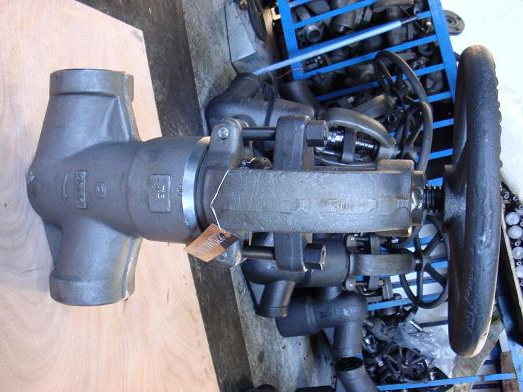 Class 2500 Forged F91 Globe Valve