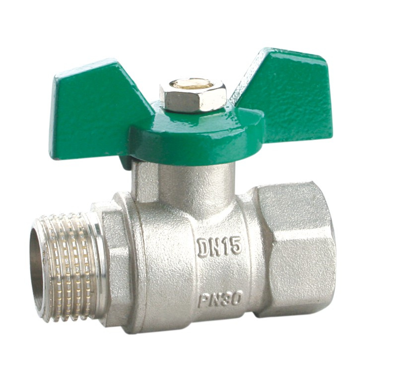 Ball Valve (TT1004)