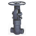 Pressure-Seal Gate Valve (LIFC4007)