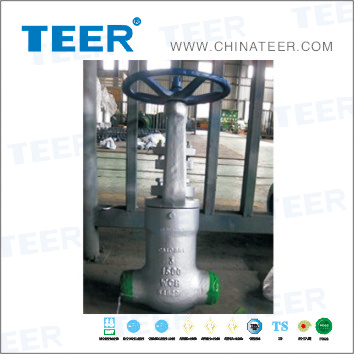 CF8 Global Valve (J61H--1500LB)
