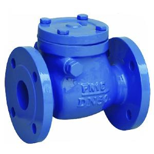 Stainless Steel Swing Check Valve