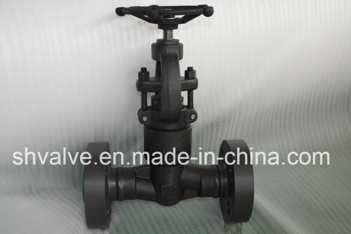 API 602 Forged Steel A105 Flanged Globe Valve