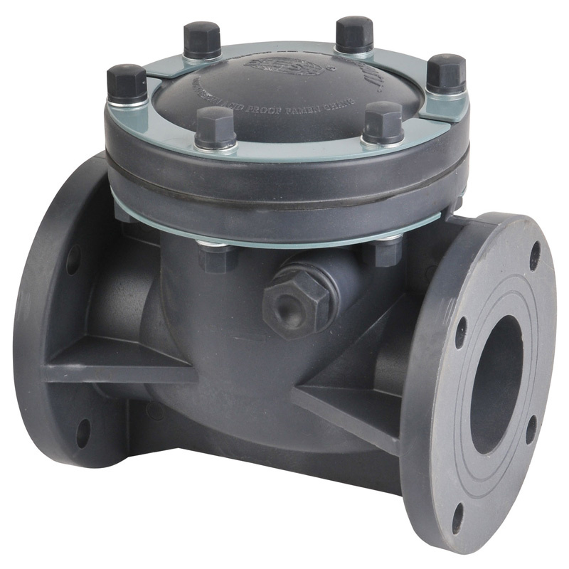 PP Swing Check Valve (H44X-10S)