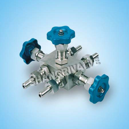 Manifold Needle Valve Sets (Type: QFF3)