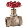 Brass Globe Valve