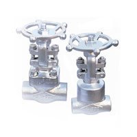 Forged Steel Gate Valves