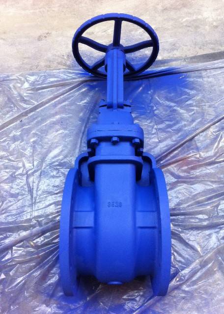 ANSI Cast Iron Gate Valve Z41H-125LB
