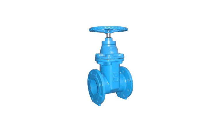 Gate Valve