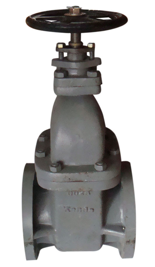Steel Gate Valve