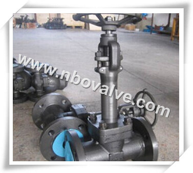 Forged Steel Long Stem Cryogenic Globe Valve (J47H)