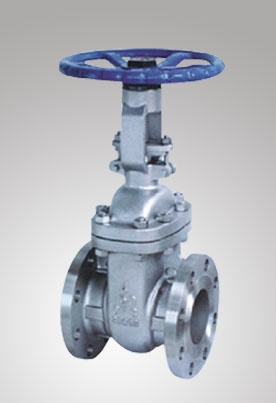 Class 150 Globe Valve