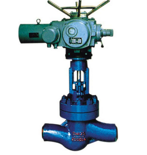 Power Station Globe Valve