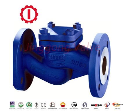 Check Valve