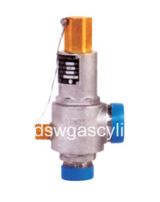 Pressure Relief Valve for LNG Tanker