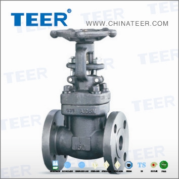 Forged Steel Gate Valve (Z41H-150)