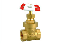 Brass Gate Valve(DC-B1106)