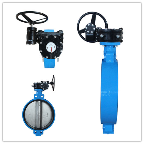 FPM Seat Worm Gear Butterfly Valve