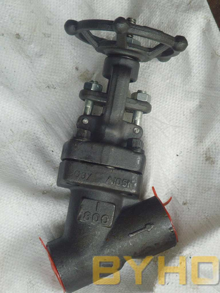 Threaded Forged Steel Y Globe Valve