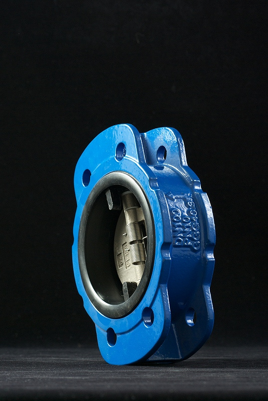 Check Valve