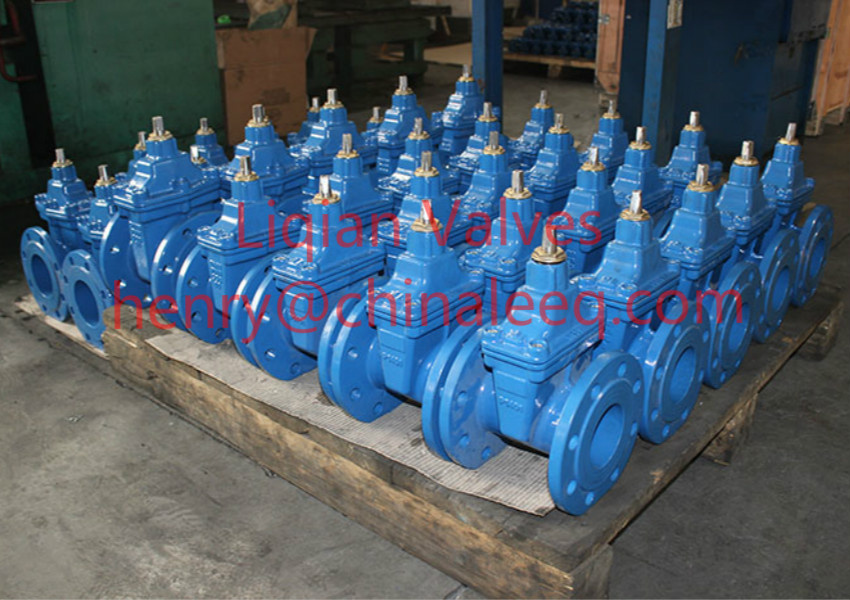 Awwa C509 Gate Valve (DN50-DN450)