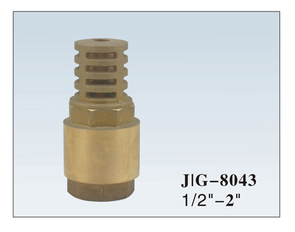 Brass Check Valve