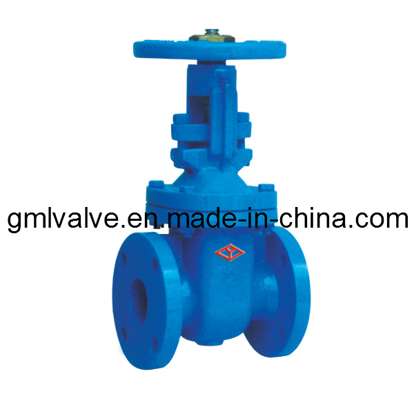 Rising Stem Cast Iron Gate Valve