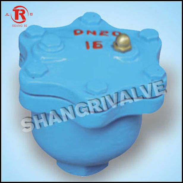 Threaded Air Release Valve (Type: ARVX-10)