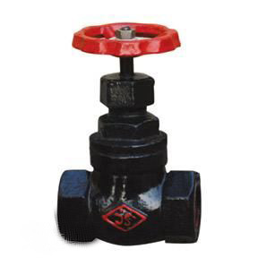 Cast Iron Threaded Globe Valve