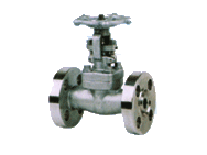 Gate Valve (028)