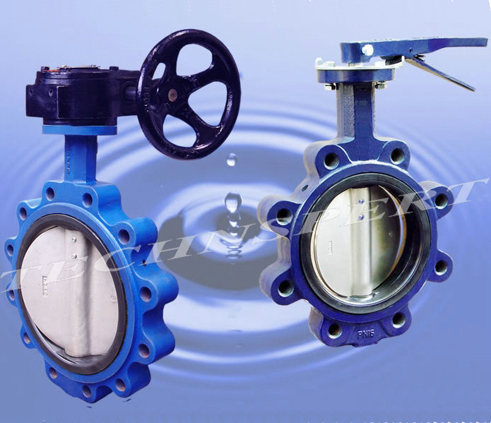 Lug Type Concentric Butterfly Valve