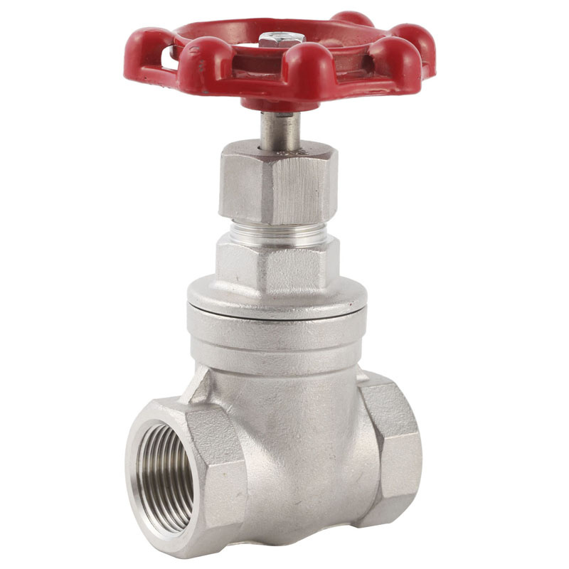 Precision Casting Stainless Steel Threaded Gate Valve