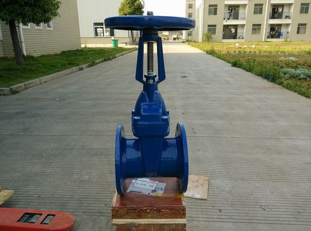 RS Gate Valve
