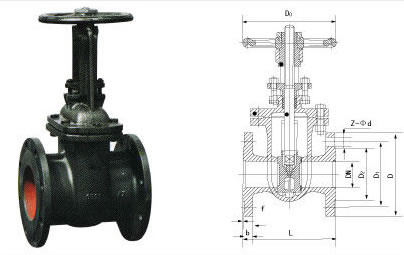 Z44t-10 Russia Standard Rising Stem Cast Iron Gate Valve