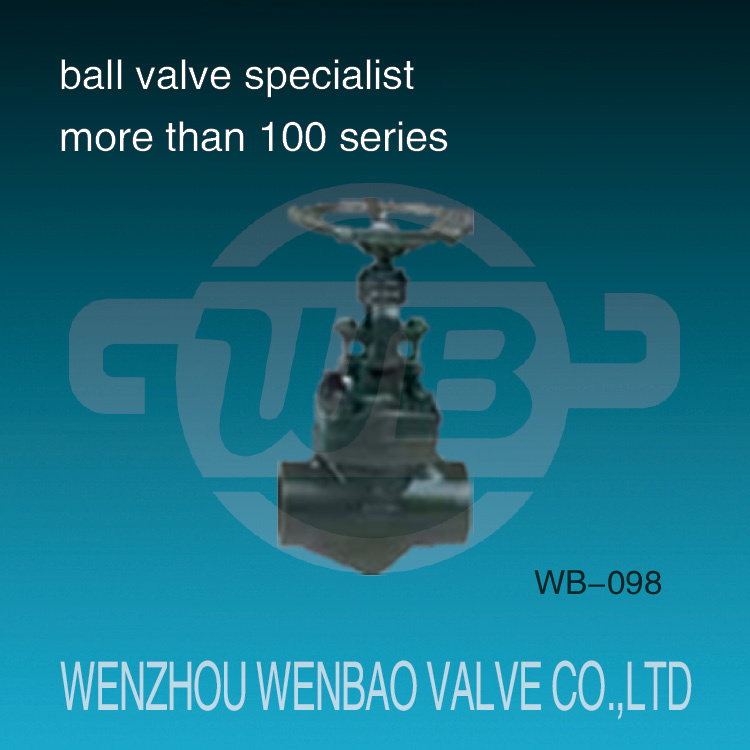 Female Threaded A105 Globe Valve with Rising Stem
