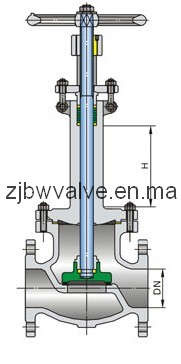 Cryogenic Globe Valve