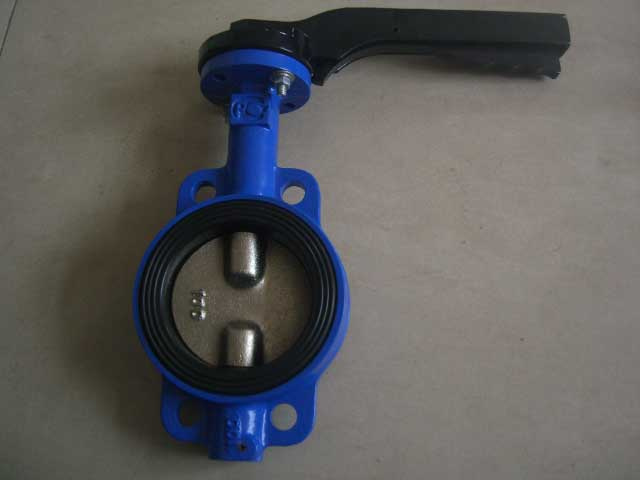 Check Valves