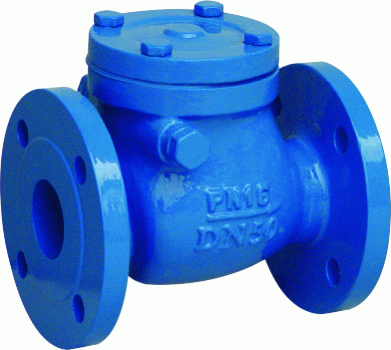 DIN Cast Iron Check Valves
