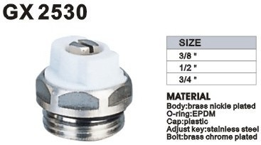 Blanking Plug (GX2530)