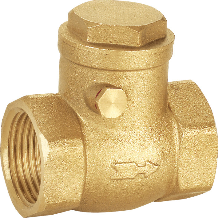 Vertical Brass Spring Check Valve Size 1/2
