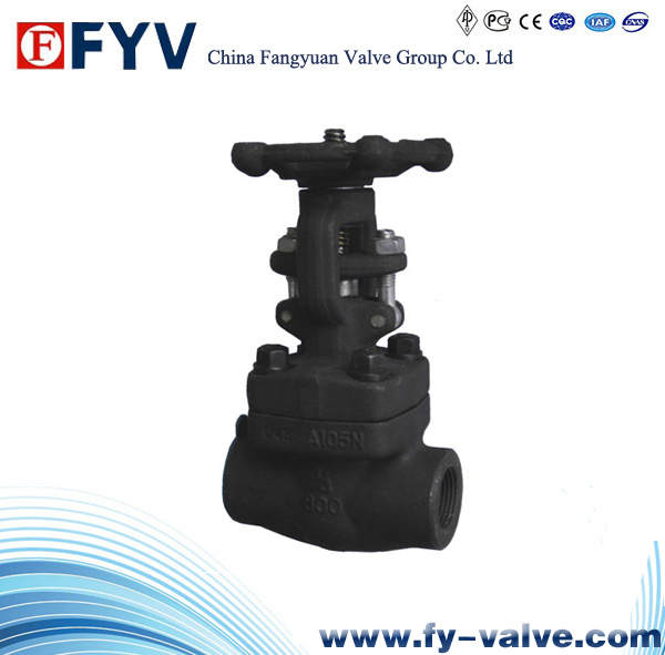 Forged Steel Butt-Weld Gate Valve
