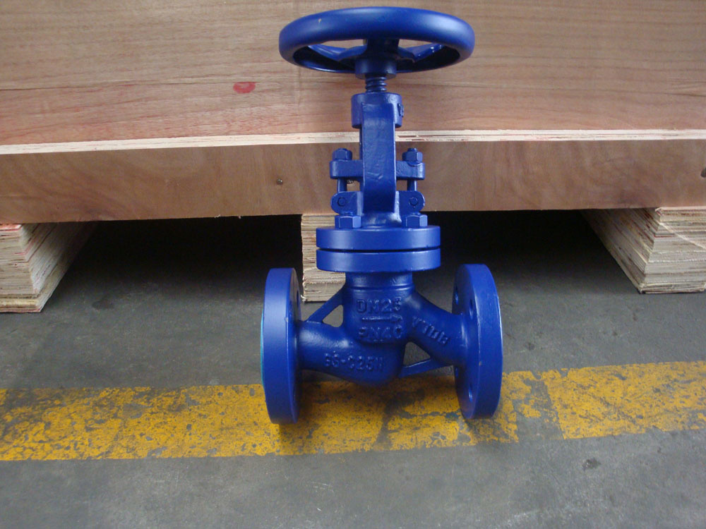 DIN Globe Valve