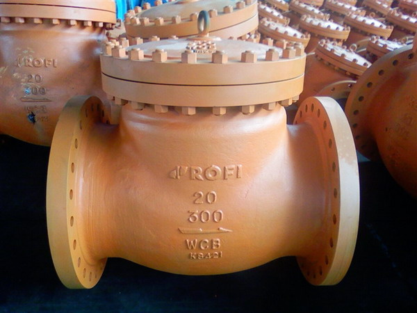 Flange Check Valve
