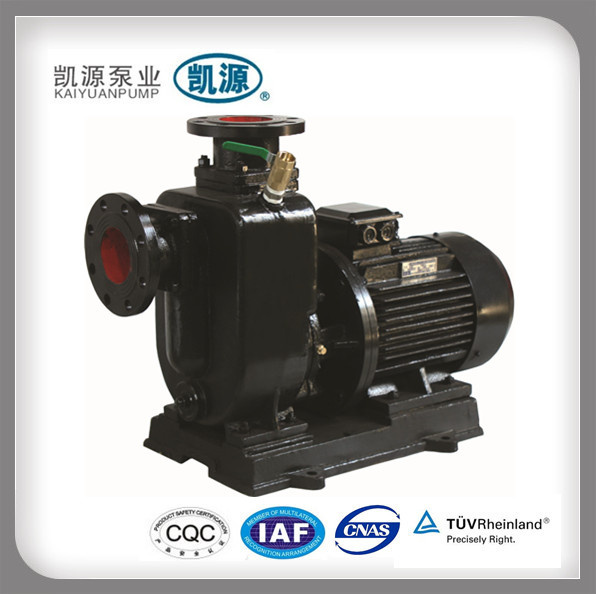 Zwl Electric Self-Priming Centrifugal Pump