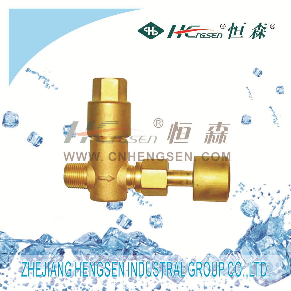 Stop Valve/Refrigeration Fittings/Brass Fittings