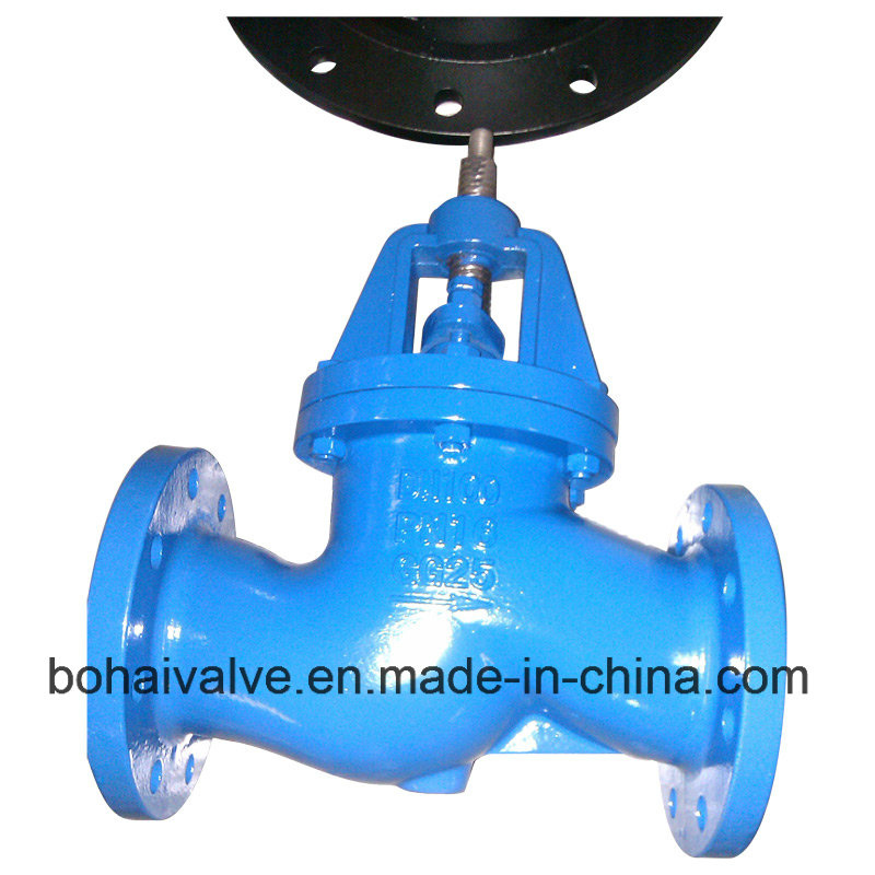 DIN Wcb Globe Valve (Flange End)